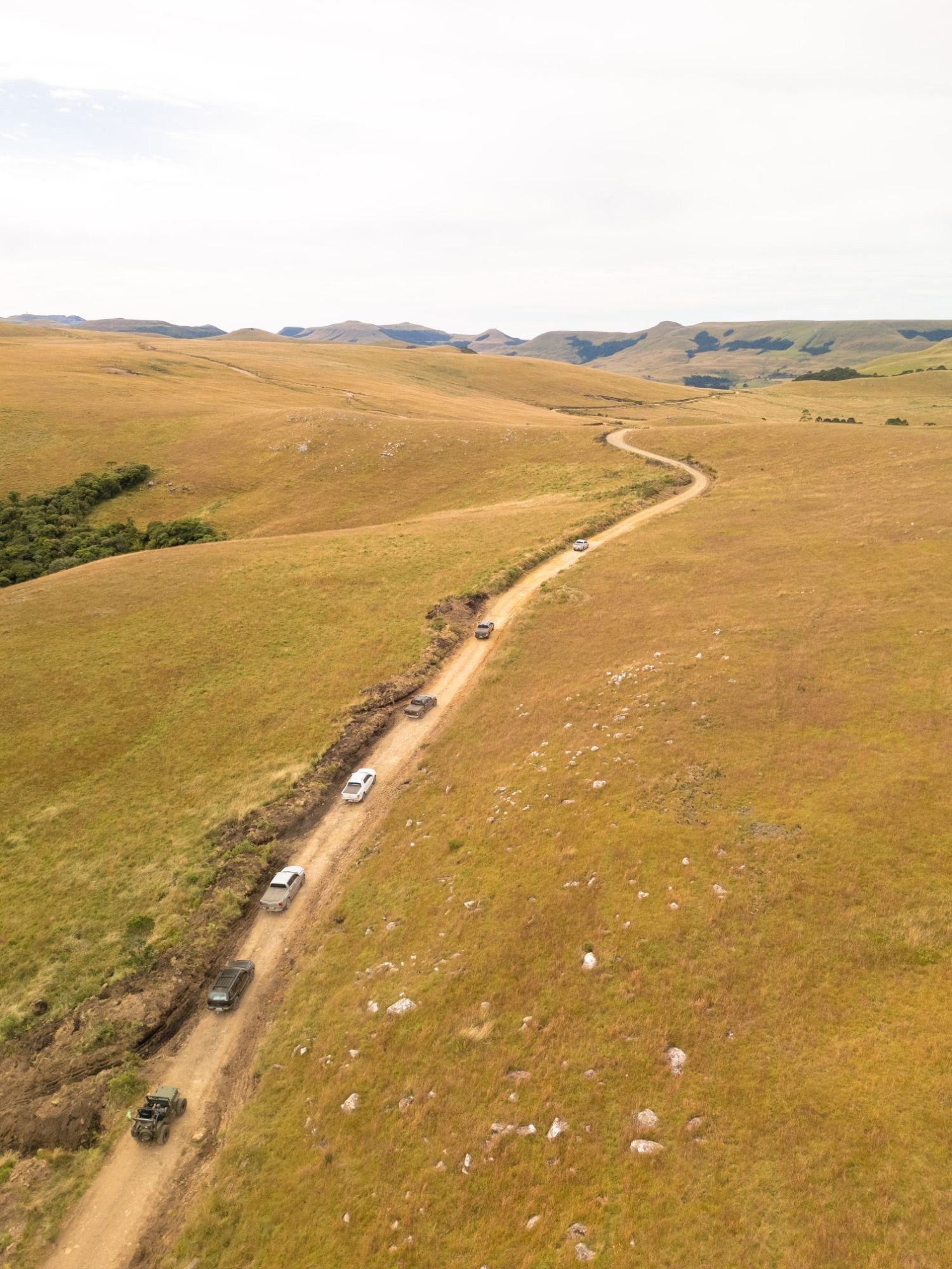 Comboio de 4x4 descendo trilha