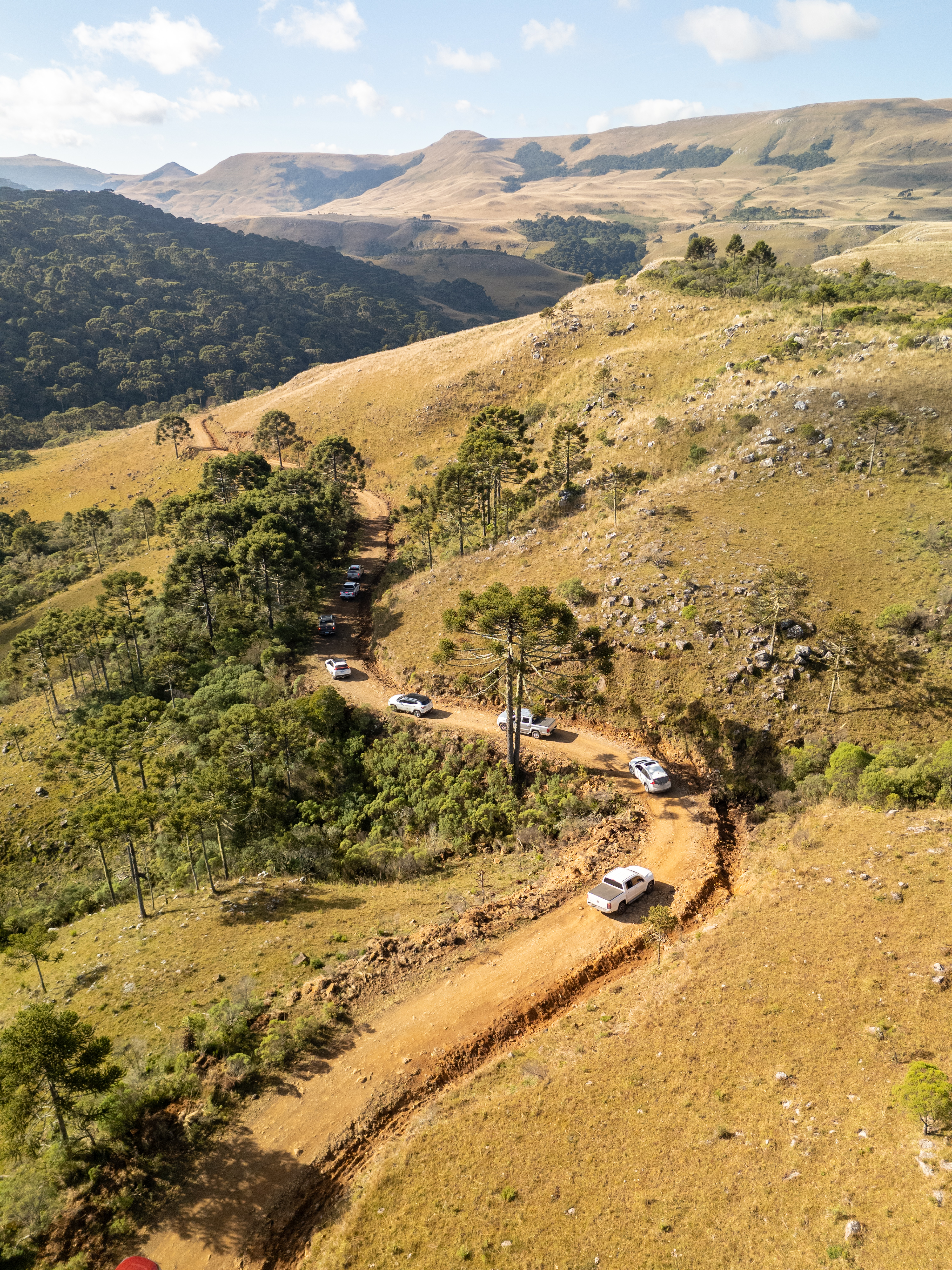 Frota de 4x4 reunida